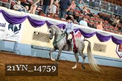 21YN_14759 thumbnail