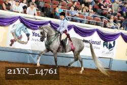 21YN_14761 thumbnail