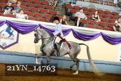 21YN_14763 thumbnail