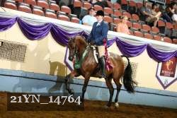 21YN_14764 thumbnail
