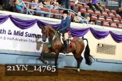 21YN_14765 thumbnail