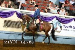 21YN_14767 thumbnail