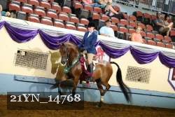 21YN_14768 thumbnail