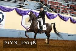 21YN_12048 thumbnail