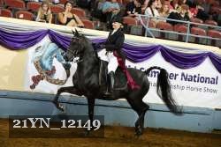 21YN_12149 thumbnail