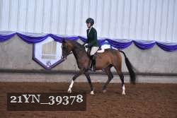 21YN_39378 thumbnail