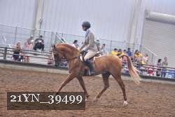 21YN_39499 thumbnail