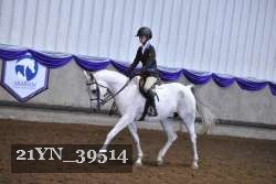 21YN_39514 thumbnail