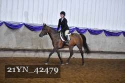 21YN_42479 thumbnail