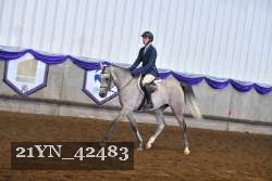 21YN_42483 thumbnail