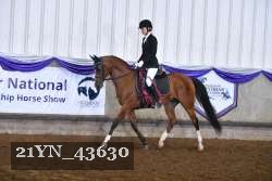 21YN_43630 thumbnail