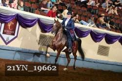 21YN_19662 thumbnail