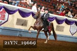21YN_19669 thumbnail
