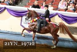 21YN_19712 thumbnail
