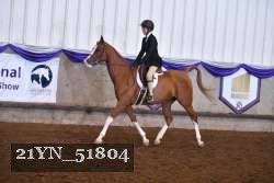 21YN_51804 thumbnail