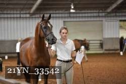 21YN_33542 thumbnail