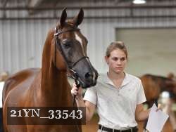 21YN_33543 thumbnail