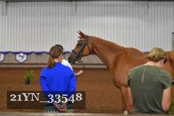 21YN_33548 thumbnail