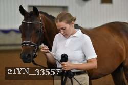 21YN_33557 thumbnail