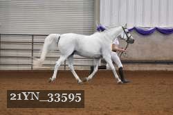 21YN_33595 thumbnail