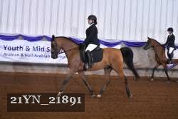 21YN_21891 thumbnail