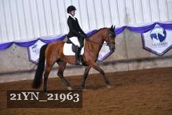 21YN_21963 thumbnail