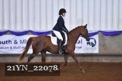 21YN_22078 thumbnail