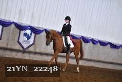 21YN_22248 thumbnail