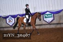 21YN_30407 thumbnail