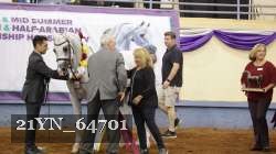 21YN_64701 thumbnail