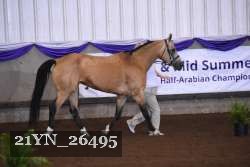 21YN_26495 thumbnail