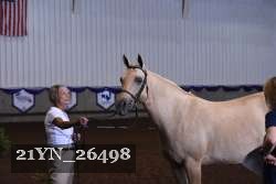 21YN_26498 thumbnail