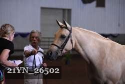 21YN_26502 thumbnail