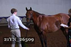 21YN_26509 thumbnail