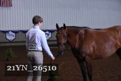 21YN_26510 thumbnail