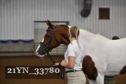 21YN_33780 thumbnail