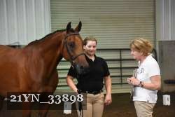 21YN_33898 thumbnail