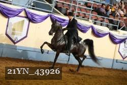 21YN_43926 thumbnail