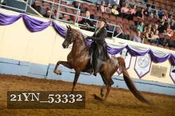 21YN_53332 thumbnail