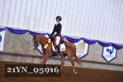 21YN_05916 thumbnail