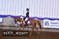 21YN_05917 thumbnail