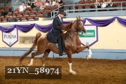 21YN_58974 thumbnail