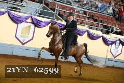 21YN_62599 thumbnail
