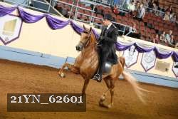 21YN_62601 thumbnail