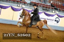 21YN_62602 thumbnail