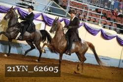 21YN_62605 thumbnail