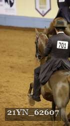 21YN_62607 thumbnail