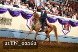 21YN_02162 thumbnail