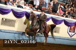 21YN_02166 thumbnail