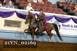 21YN_02169 thumbnail